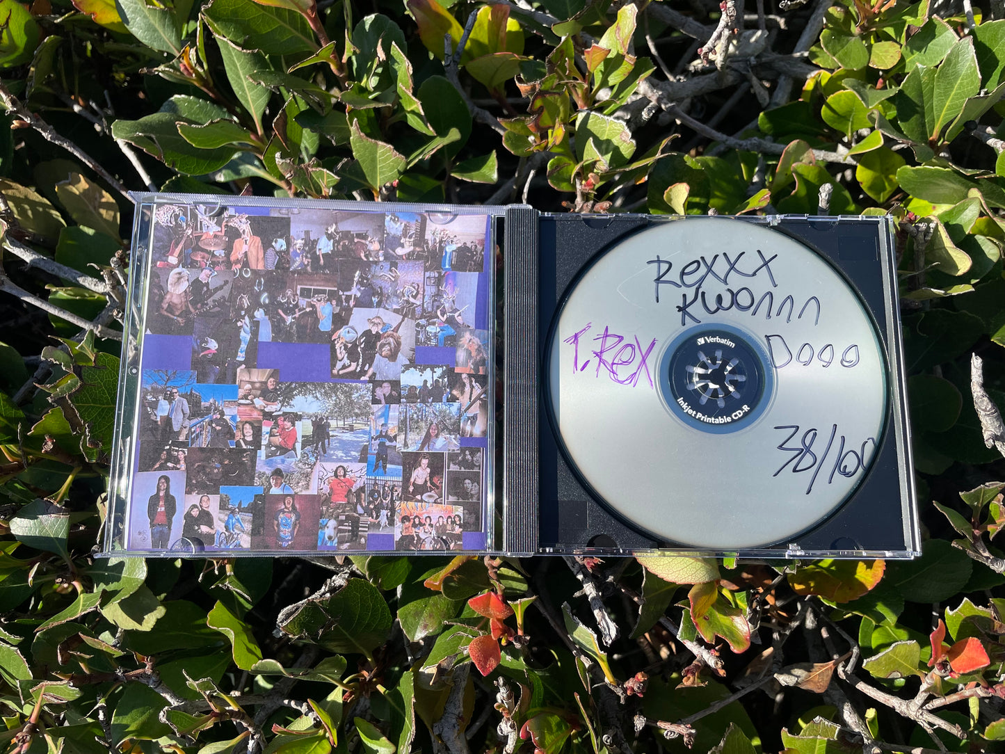 Rex Kwon Do “Tyrannasoirus Rex” CD