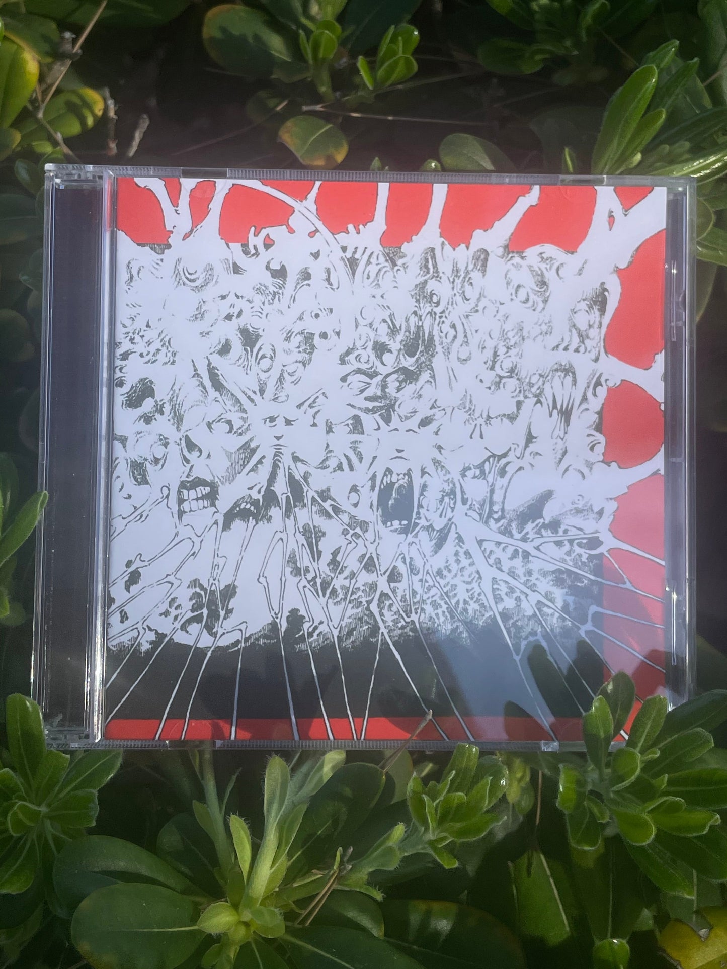 Let Them Eat Horses "Tres Tres Tres" CD