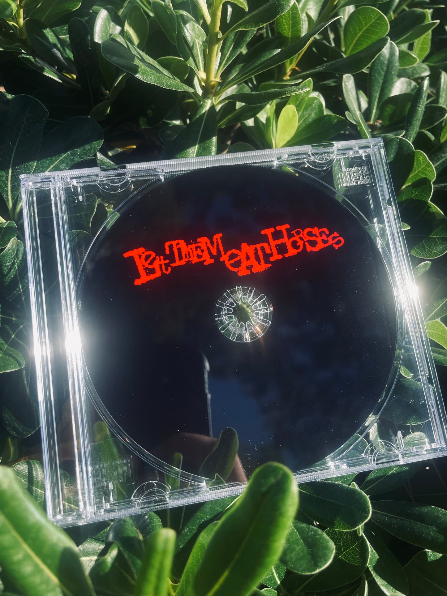 Let Them Eat Horses “Promotional Demonstration” CD