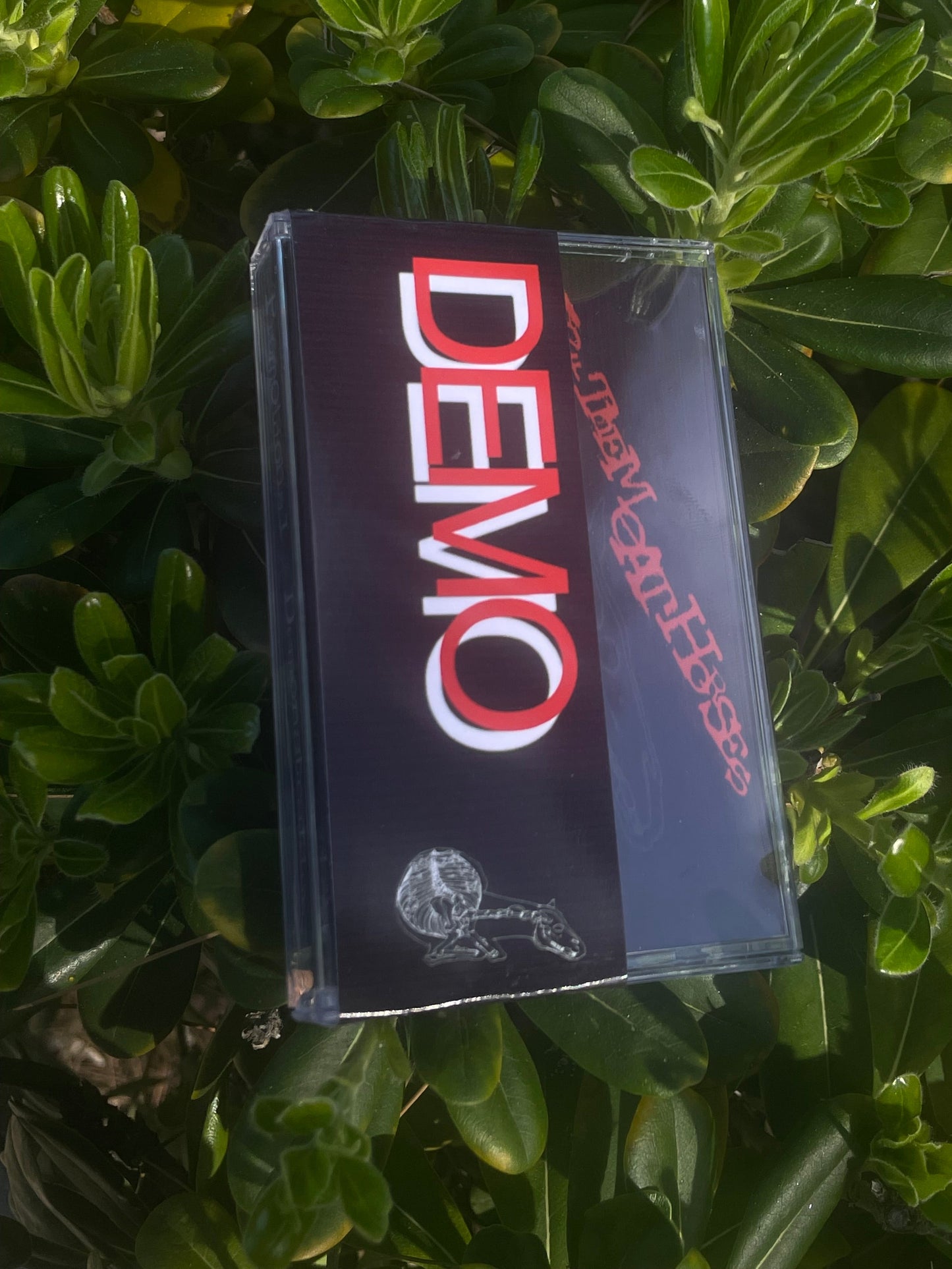 Let Them Eat Horses "Promotional Demonstration" cassette