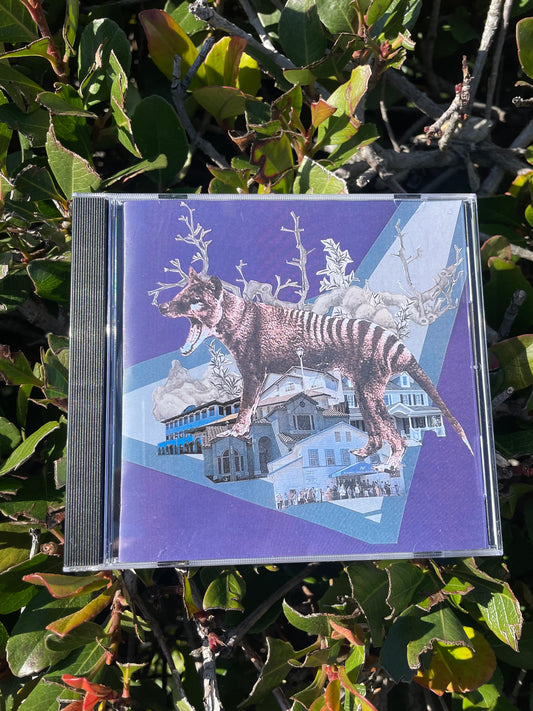 Rex Kwon Do “Tyrannasoirus Rex” CD
