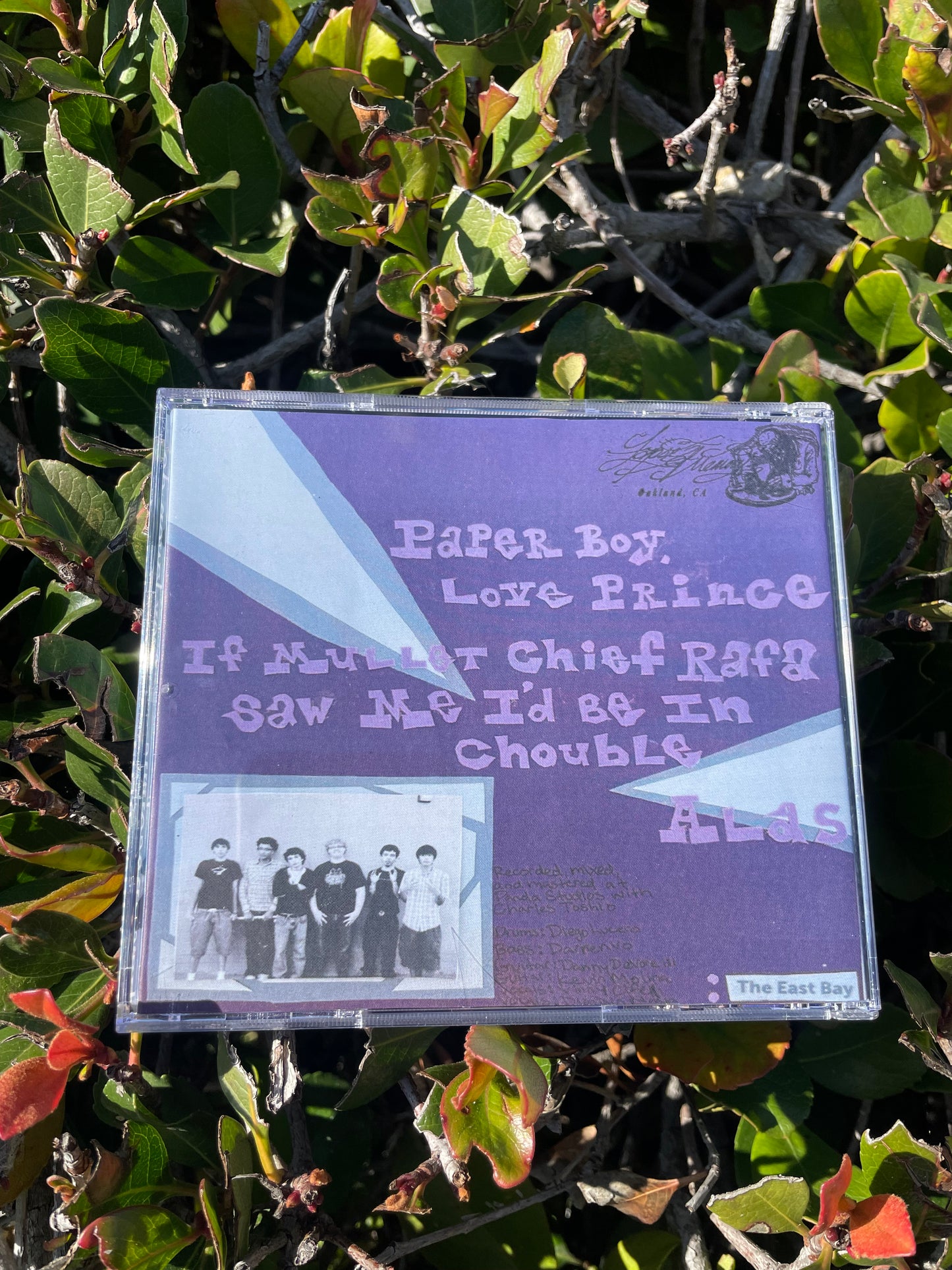 Rex Kwon Do “Tyrannasoirus Rex” CD