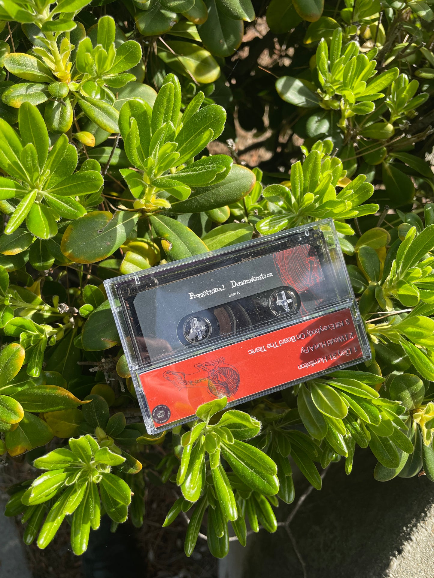 Let Them Eat Horses "Promotional Demonstration" cassette