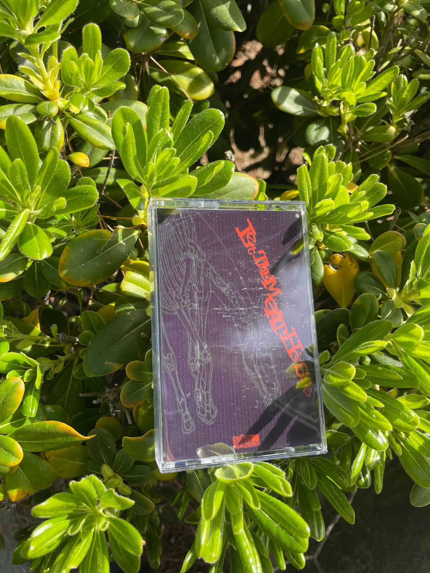 Let Them Eat Horses "Promotional Demonstration" cassette